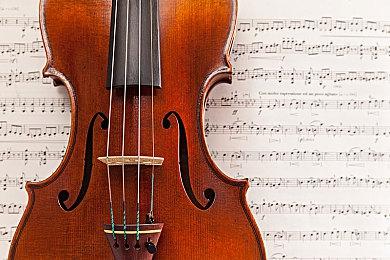 可爱橘猫+酷炫滑板，《哥里：可爱大灭绝》8月29日“萌”物来袭！