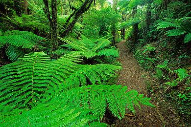 科幻剧情《1000xRESIT》2023年发售 登陆PC和NS