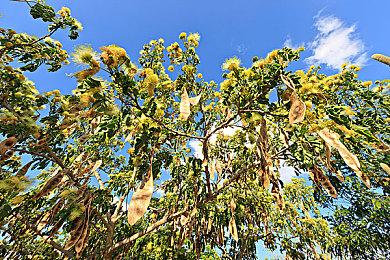 抗日游戏《斗虎》上架Steam 年底前有新演示