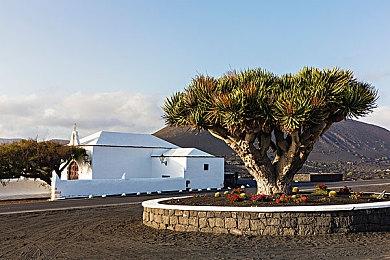 《inZOI（云族裔）》首个DLC预告片将在科隆展公开